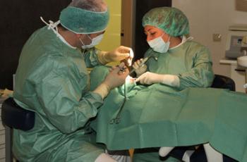 Endoskopik (Trans Kanal) Kulak Ameliyatı;